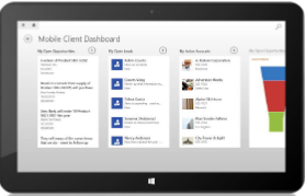 Microsoft Dynamics crm