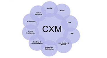 ‫تجربه مشتری (CXM) چیست؟
