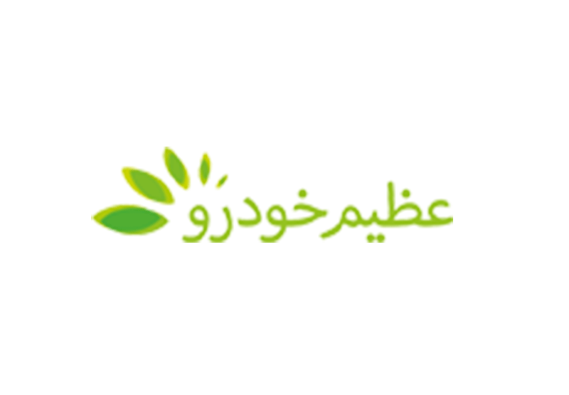شرکت عظیم خودرو