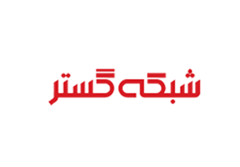 شرکت شبکه گستر
