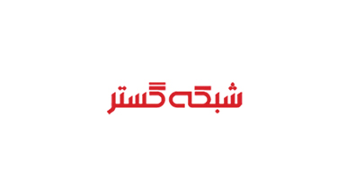شرکت شبکه گستر